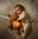 Cookie - L'Ours musical et lumineux qui respire