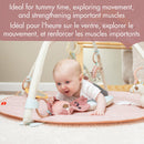 Gymini Deluxe Forest Friend