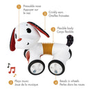 Jouet Tiny Love Follow Me - Collection Tiny Rockers