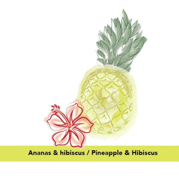 Élixir Anti-Odeurs - Ananas & Hibiscus