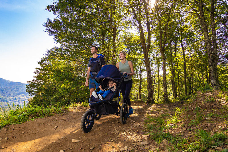 Bob Alterrain Pro Jogging stroller