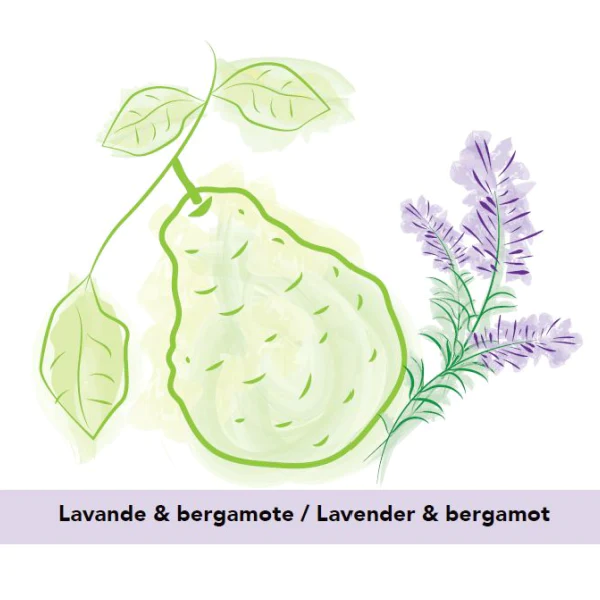 Élixir Anti-Odeurs - Lavande & Bergamote