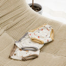 Reusable Training Pants, 3-Pack – Trucks, Cosmos and Baseball – Detail 2