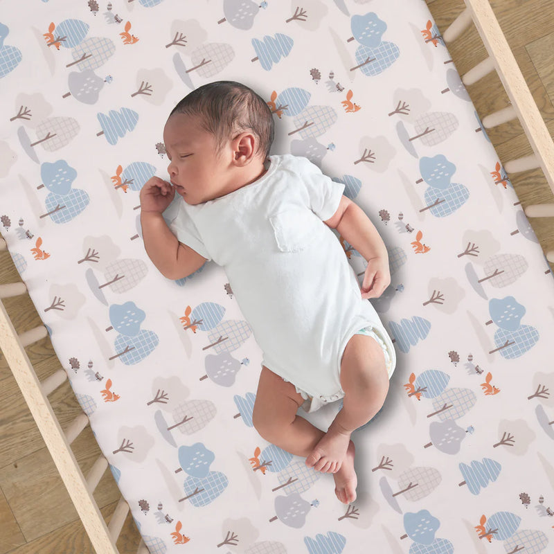 Drap contour - Sleepytime Bear