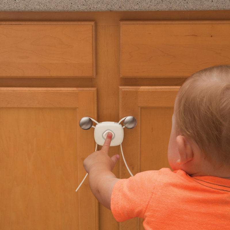 Flex Lock with decoy button