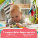 Tapis d'éveil - Meadow Days