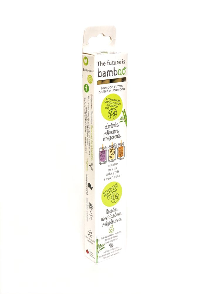 Bamboo Straws - packs of 6