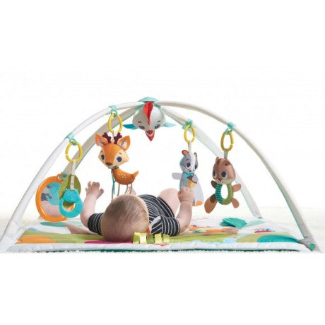 Gymini Deluxe Forest Friend