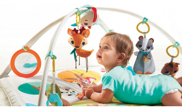 Gymini Deluxe Forest Friend