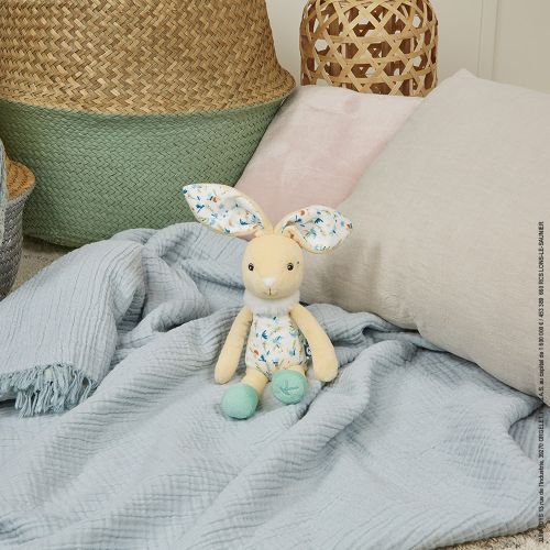 Fripons - Justin le Lapin