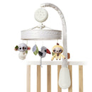 Mobile Musical Boho Chic