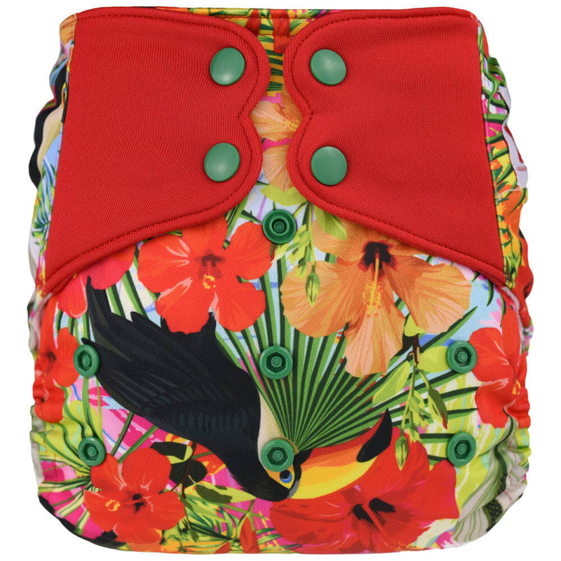 Elf Pocket diaper - Toucan