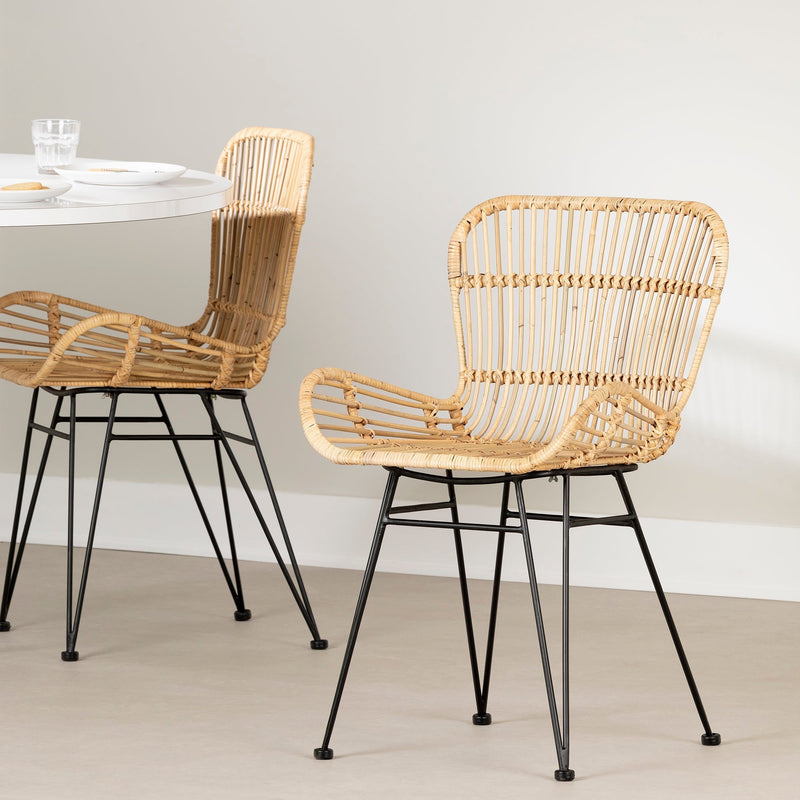 Lot de 2 chaises en rotin avec accoudoirs Balka - Rotin et noir